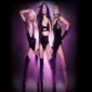 bus to pussycat dolls