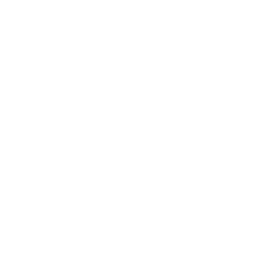 travel insurance logo 2