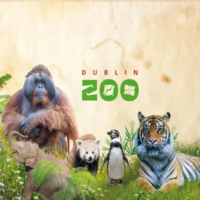 dublin zoo bus dublin zoo bus
